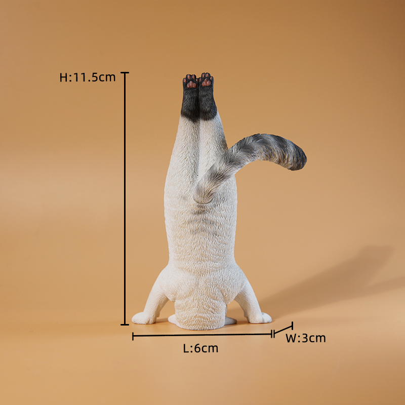 1/6 Scale Mini Simulated Fitne - огляд і ціна Yoga In Fitness First