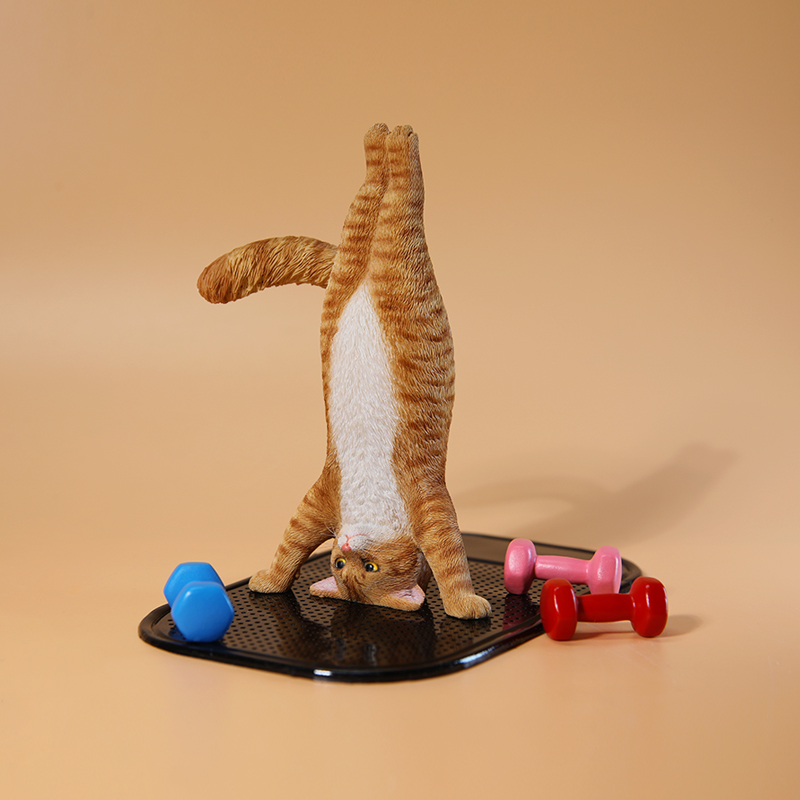 1/6 Scale Mini Simulated Fitne - огляд і ціна Yoga In Fitness First