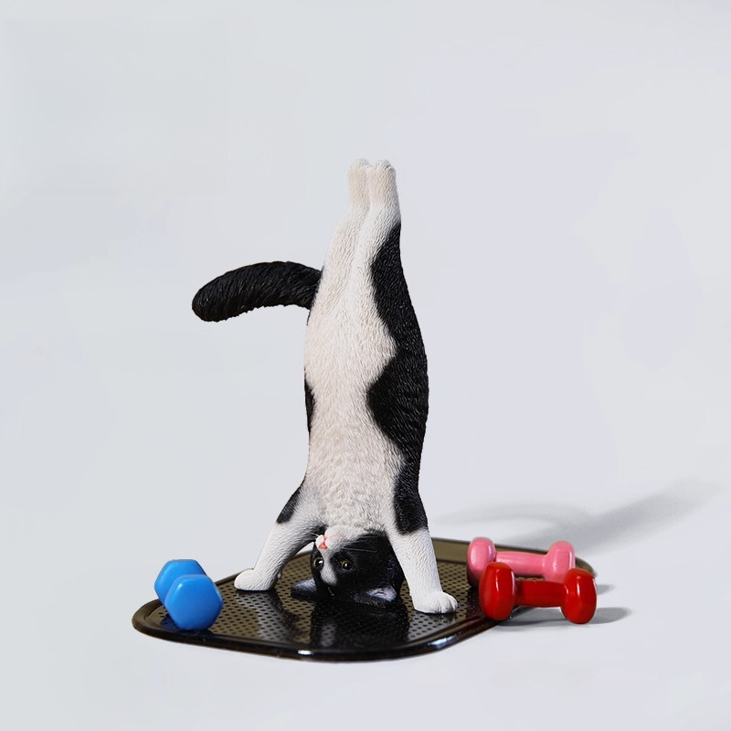 1/6 Scale Mini Simulated Fitne - огляд і ціна Yoga In Fitness First
